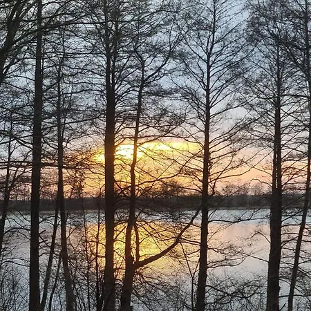 Tree&water Nad Jeziorem