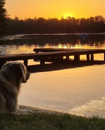 Tree&water Nad Jeziorem Apartament Ublik
